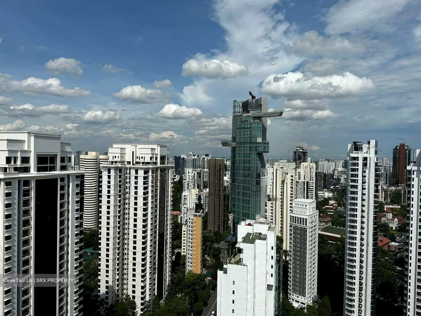 Ardmore 3 (D10), Condominium #575845411